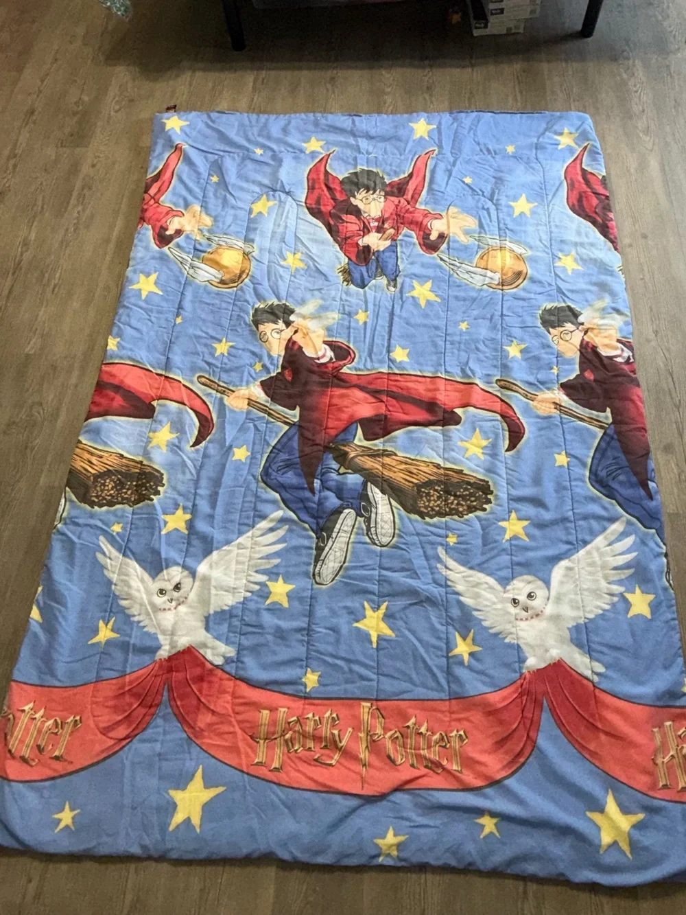 Vintage 2000 Harry Potter Double Sided Comforter